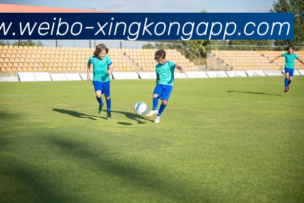 星空体育APP 封面图